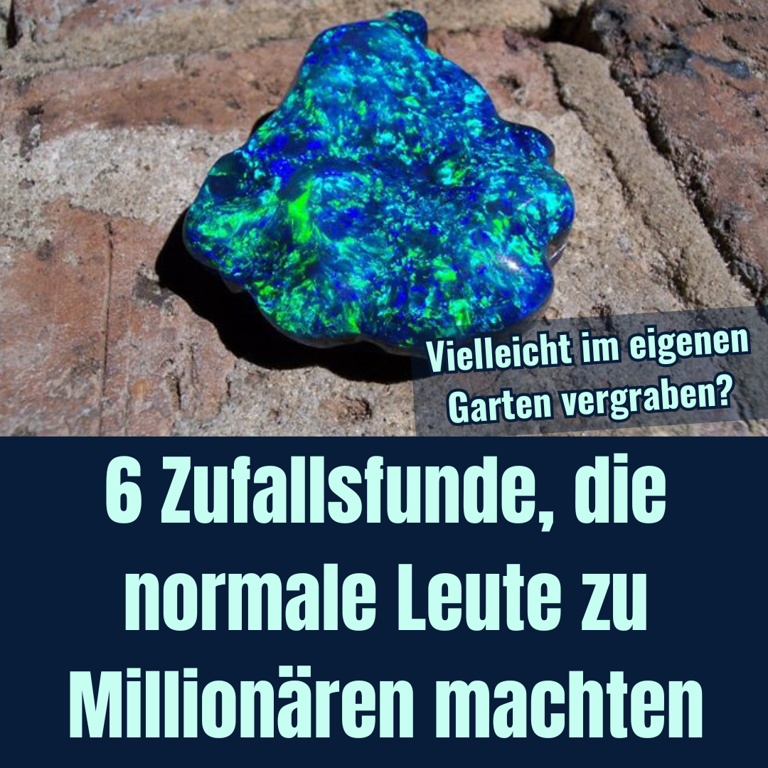 6 Zufallsfunde, die normale Leute zu Millionären machten