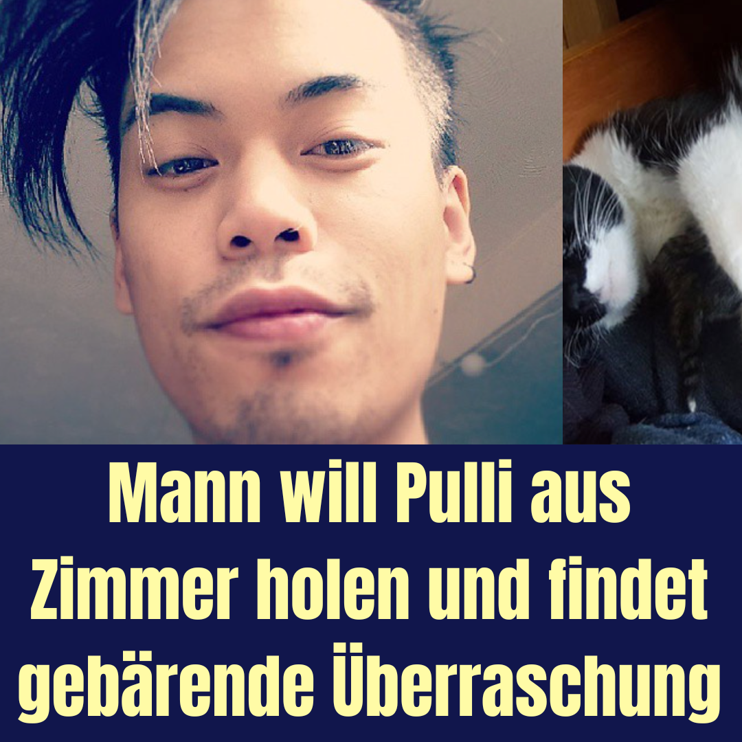 Mann will Pulli aus Zimmer holen und findet gebärende Katze