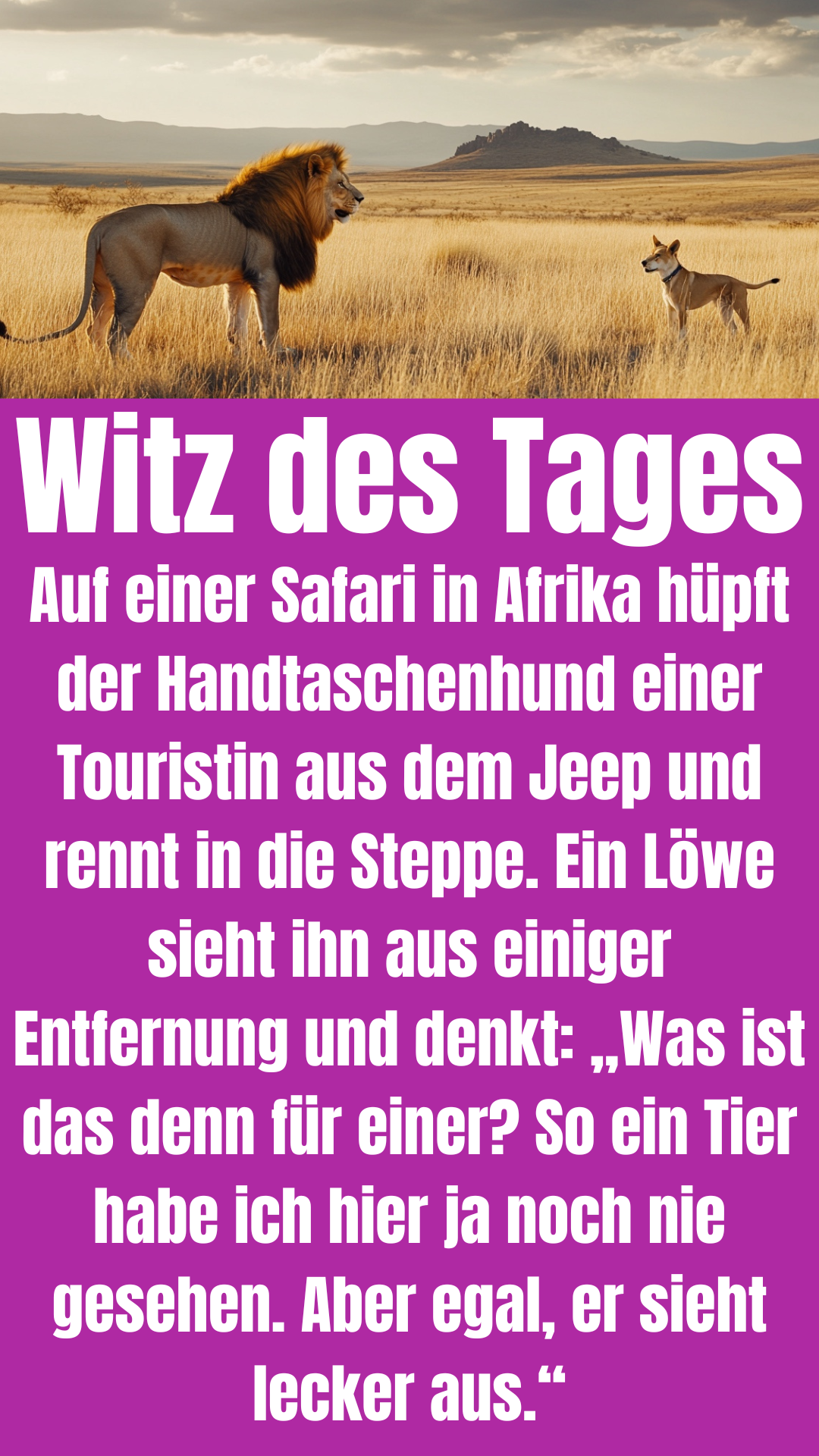 Witz des Tages: Löwe hat Angst vor Handtaschenhund