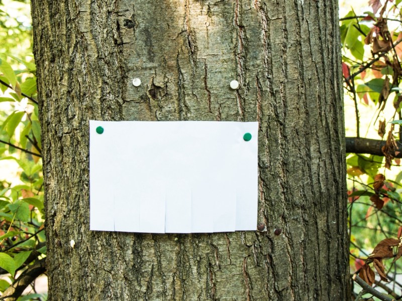 Ein Zettel hängt an einem Baum.