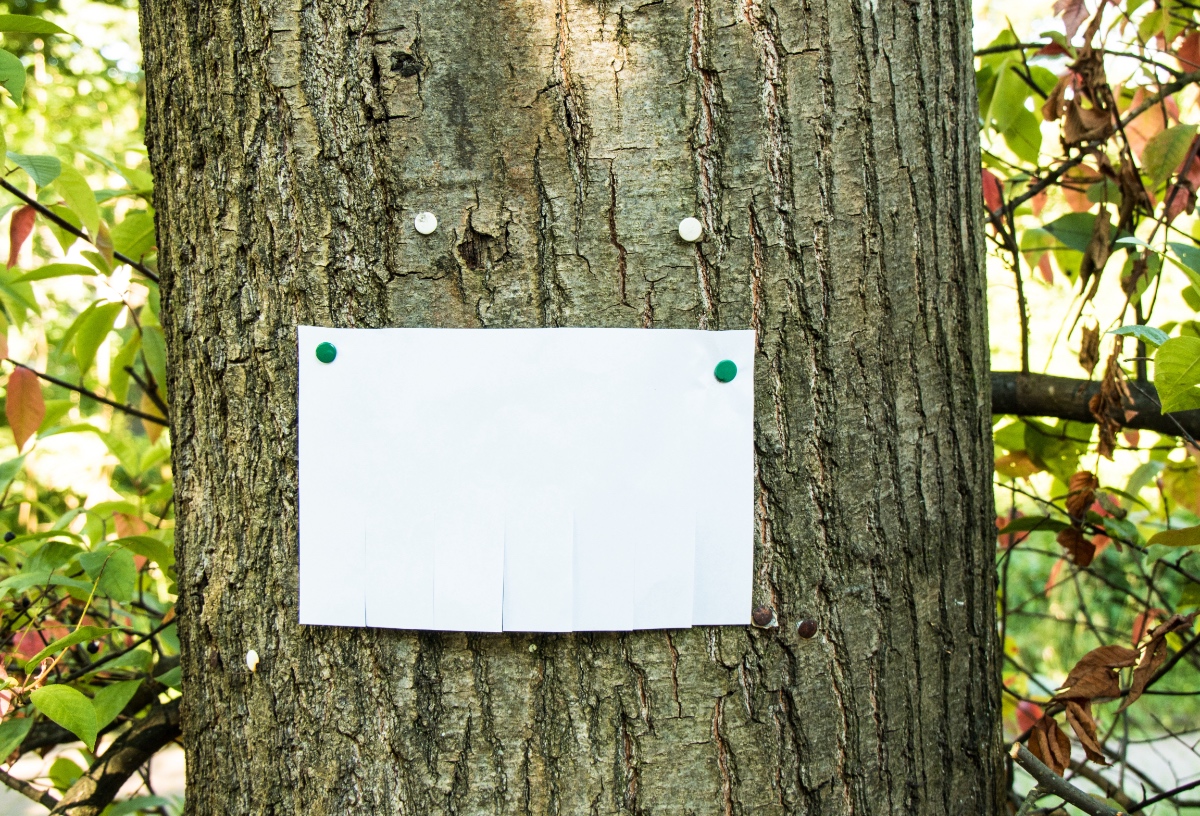 Ein Zettel hängt an einem Baum.