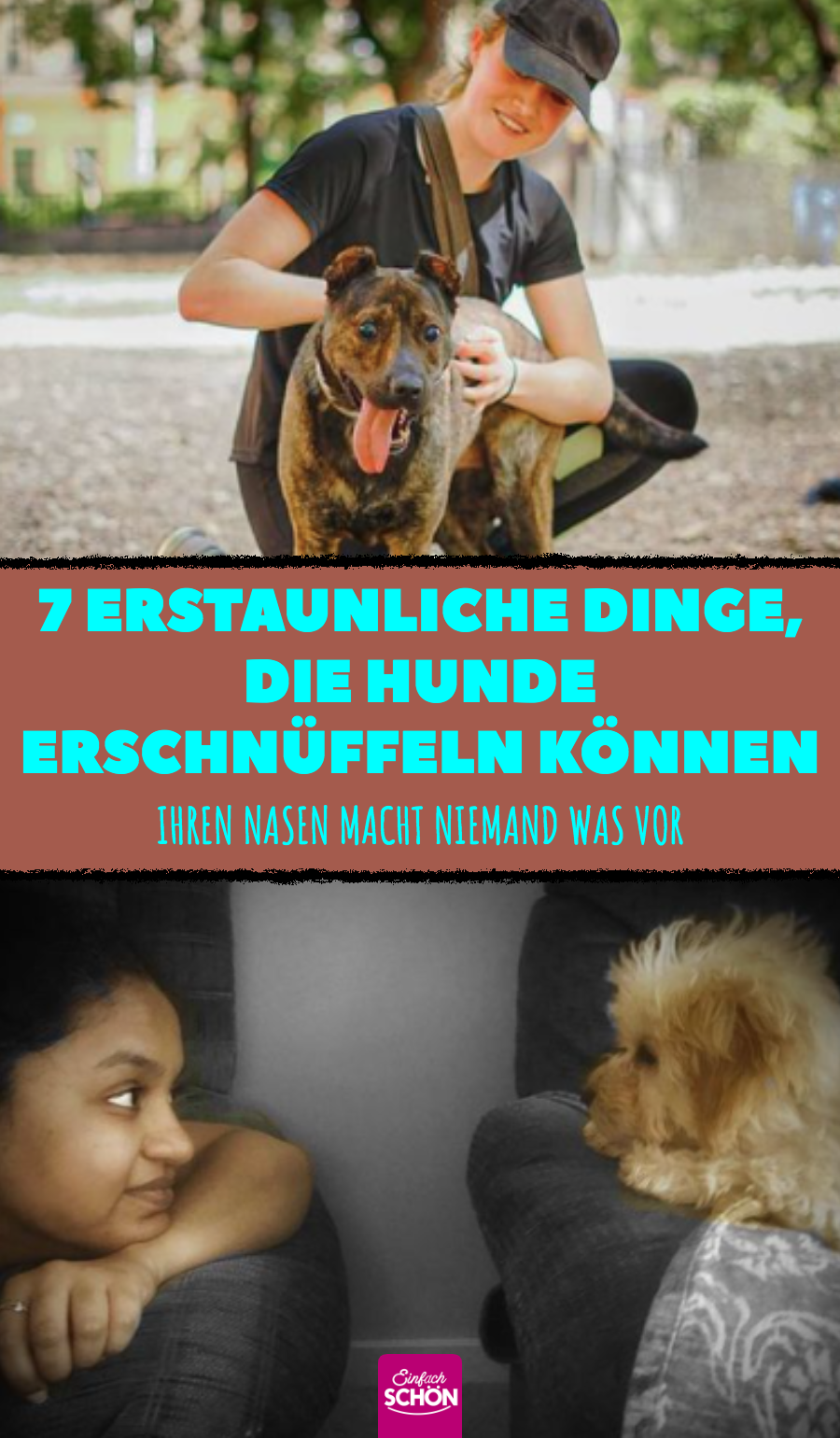 7 unerwartete Dinge, die Hunde riechen können