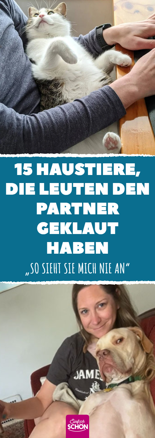 Haustiere, die einem dreist den Partner ausspannen