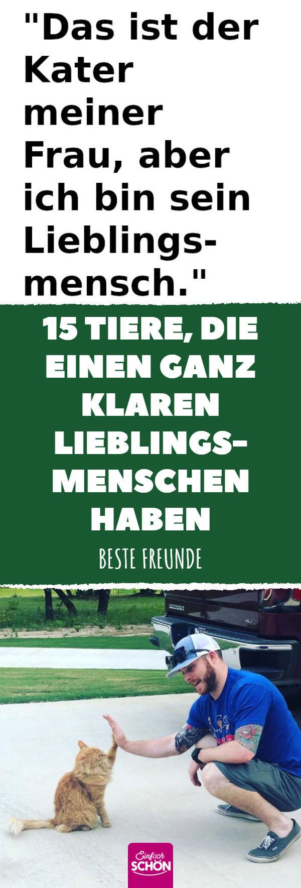 Tiere, die beste Freunde mit ihrem Lieblingsmenschen sind