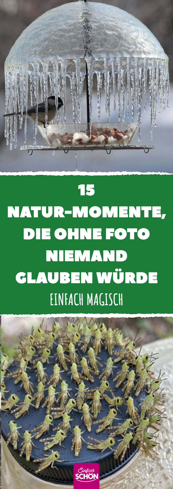 Momente aus der Natur, die niemand erwartet hat