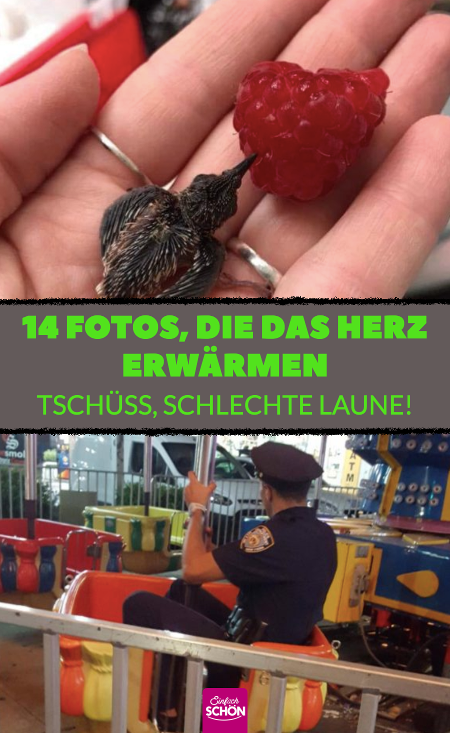 14 Fotos, die jede schlechte Laune vertreiben