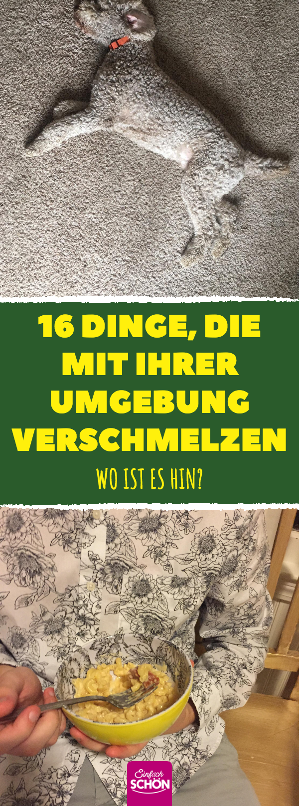 16 Dinge, die mit der Umgebung verschmelzen