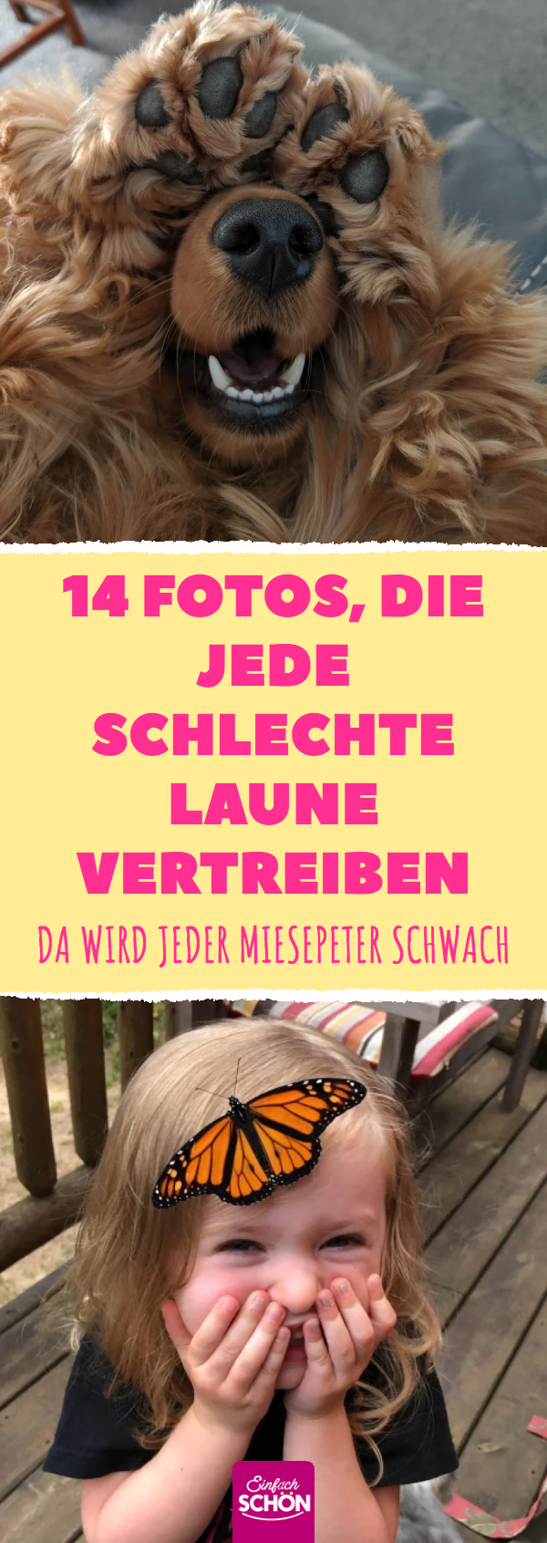 14 Fotos, die jede schlechte Laune vertreiben