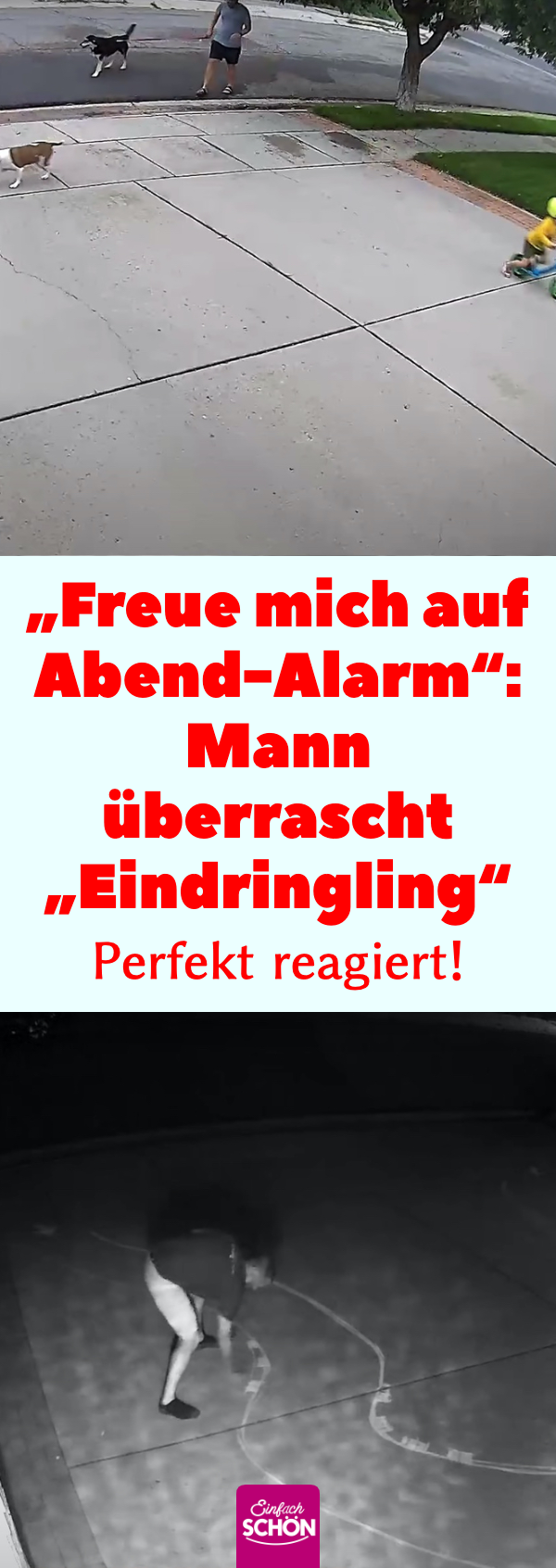 „Freue mich auf Abend-Alarm“: Mann überrascht „Eindringling“