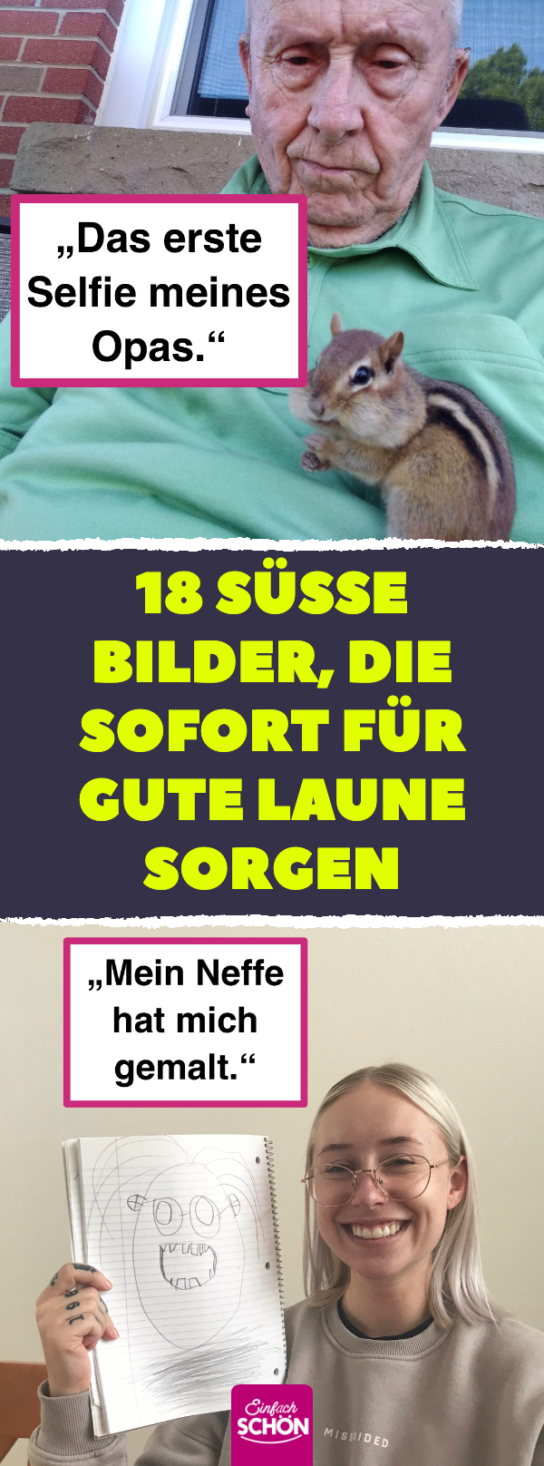 18 Bilder aus dem Leben sorgen für gute Laune