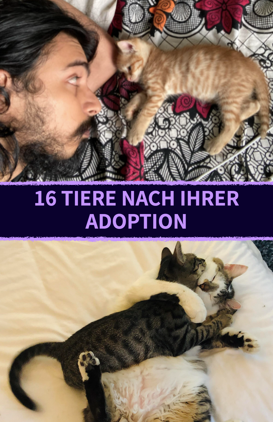 15 Bilder von glücklichen adoptierten Tieren