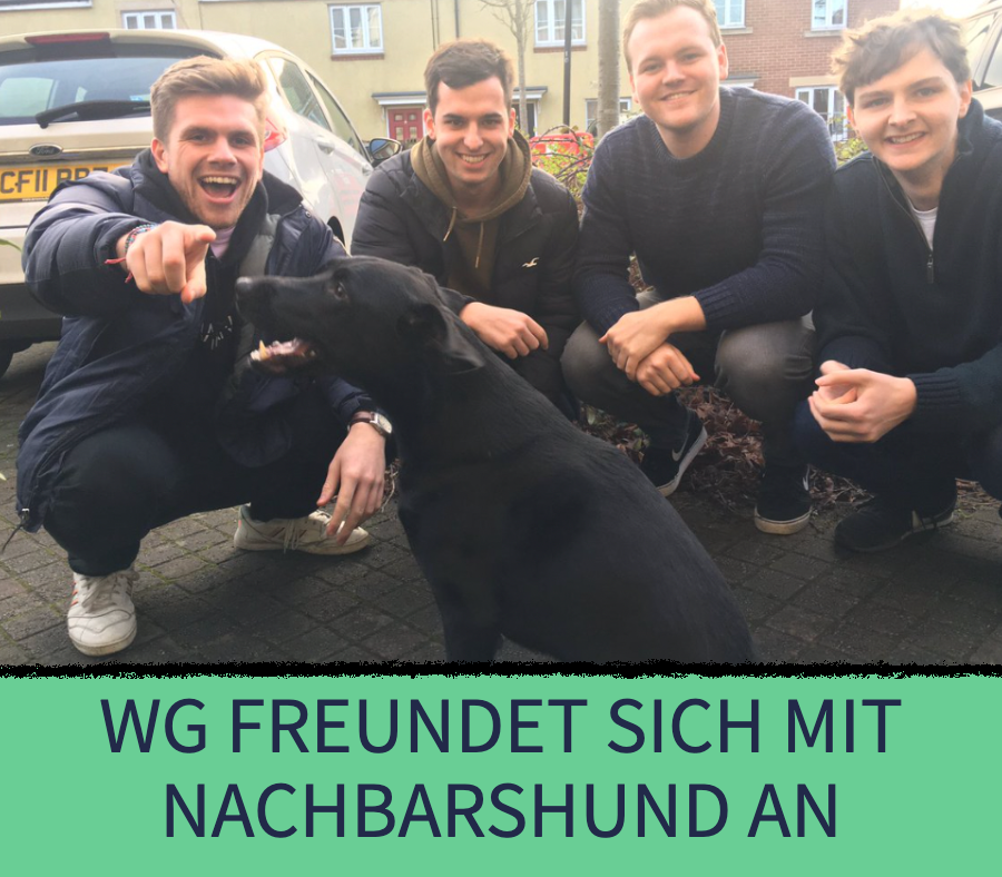 4er-WG schreibt an Nachbarn, weil sie mit Hund spielen will