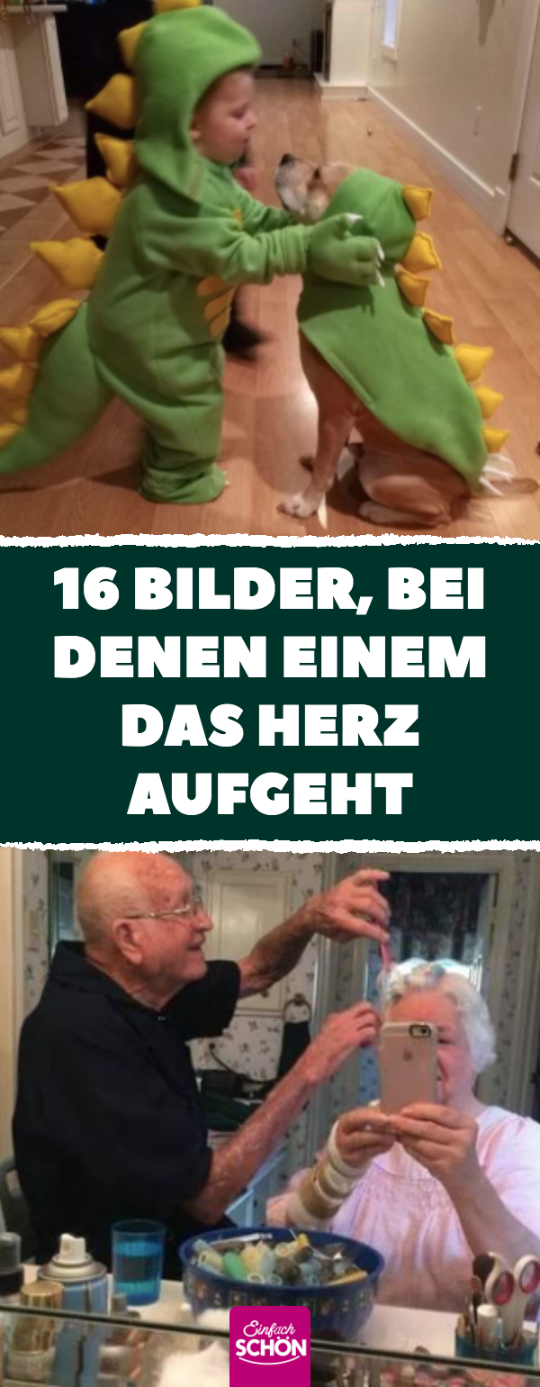 16 schöne und süße Bilder sorgen für gute Laune