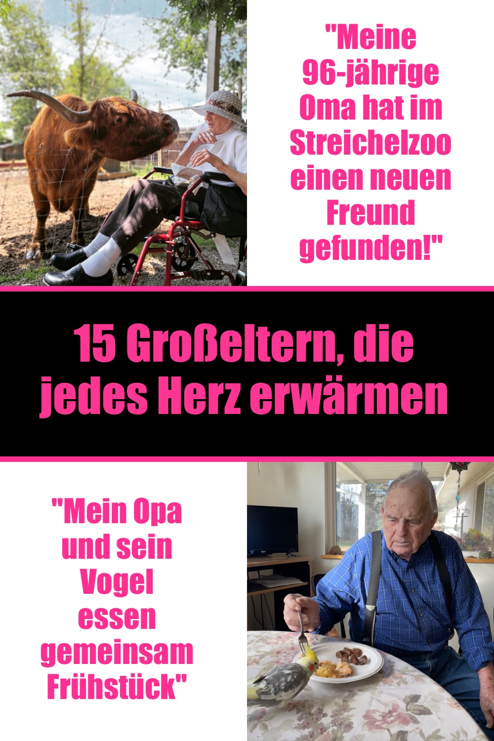 15 Großeltern, die jedes Herz erwärmen