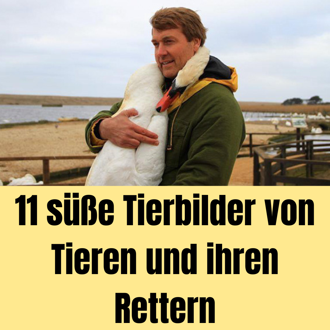 11 süße Tierbilder von Tieren und ihren Rettern