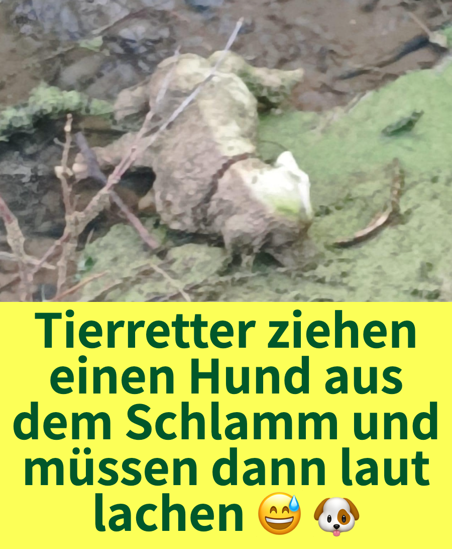 Tierretter ziehen einen Hund aus dem Schlamm und müssen dann laut lachen