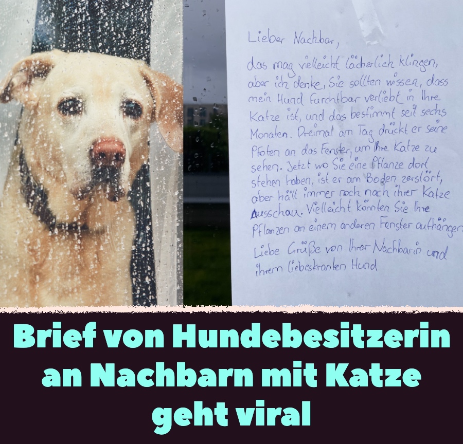 Brief von Hundebesitzerin an Nachbarn mit Katze geht viral